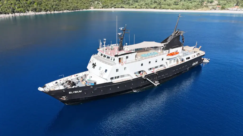 Elysium NIlina Management