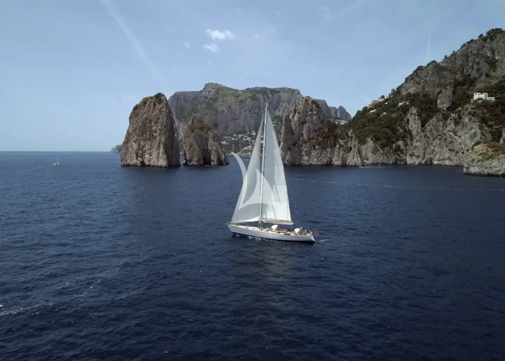 QUARTA SANTA MARIA - Image 3