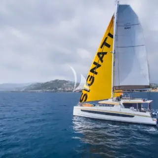 SIGNATURE CONCEPT - Image 1