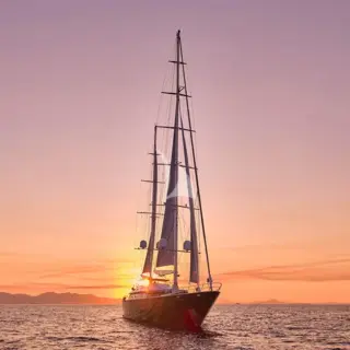 Bow - Dawn