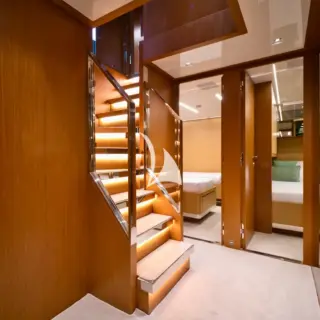 BASILIC - Image 7