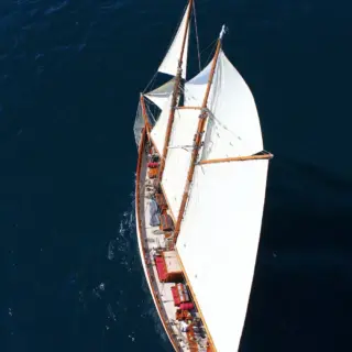 Aello - Image 3