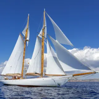Aello - Image 24
