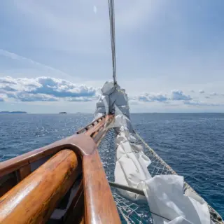 Aello - Image 23