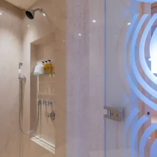 Master Stateroom En-suite shower