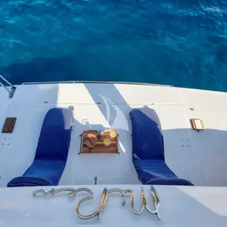 Swimming platform
