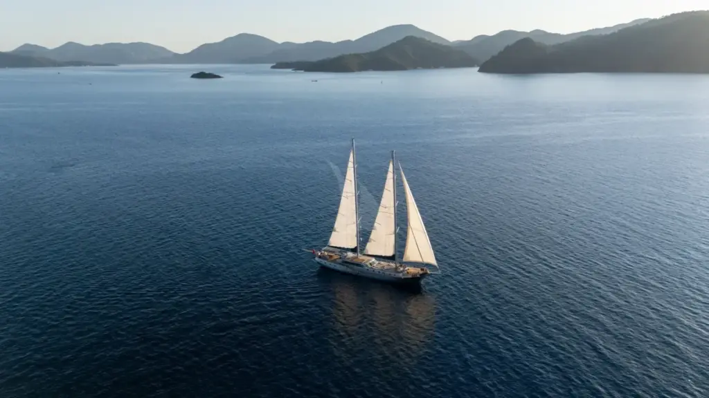 Silver Moon - Image 3