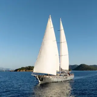 Silver Moon - Image 7