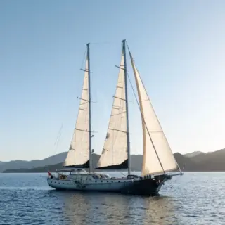 Silver Moon - Image 5