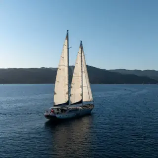 Silver Moon - Image 8