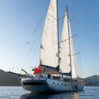 Silver Moon - Image 9