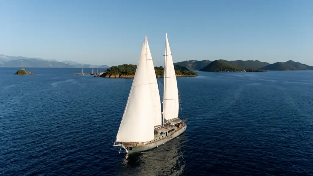 Silver Moon - Image 2