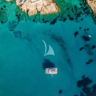 DAIQUIRI - Image 12