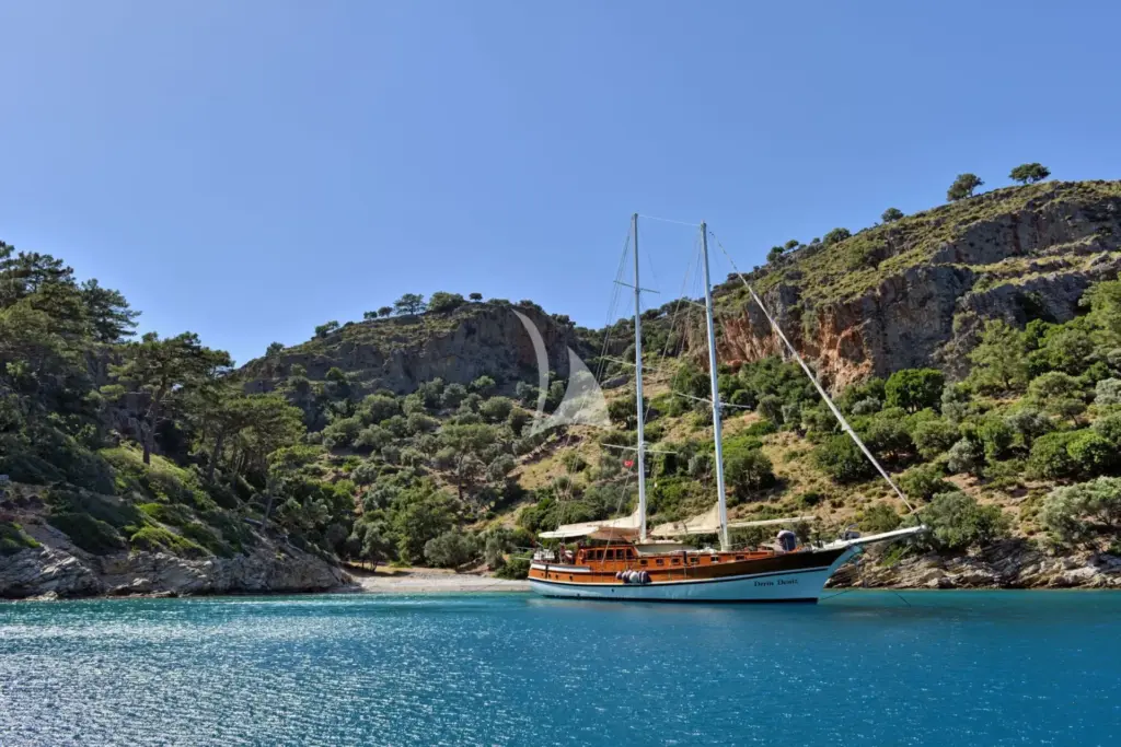 DERIN DENIZ - Image 2