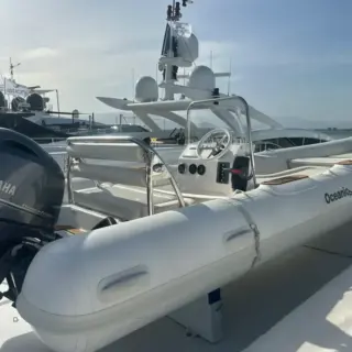 Large rib plus smaller tender
