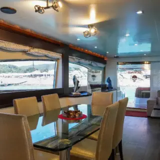 GEMINIS - Main Salon / Dining