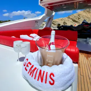 GEMINIS - Image 24
