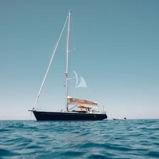 Crazy Horse - Image 15