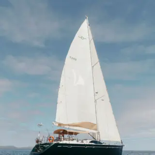 Crazy Horse - Image 5