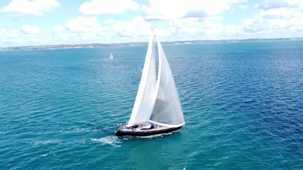 Crazy Horse - Image 3