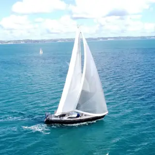 Crazy Horse - Image 3