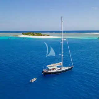 Crazy Horse - Image 1