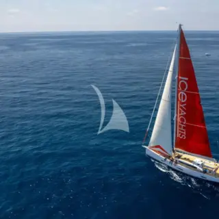 PURA FOLLIA - Image 2