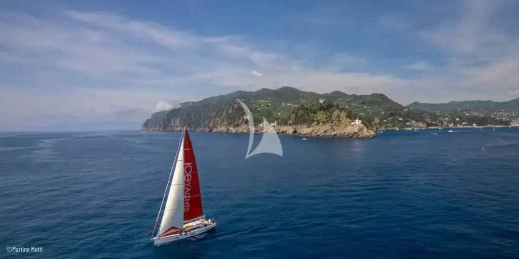 PURA FOLLIA - Image 5