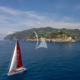PURA FOLLIA - Image 5