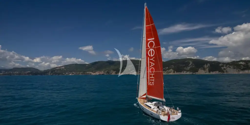 PURA FOLLIA - Image 3