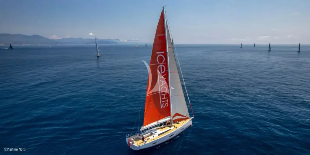 PURA FOLLIA - Image 4