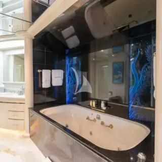 Owner's Stateroom Bath