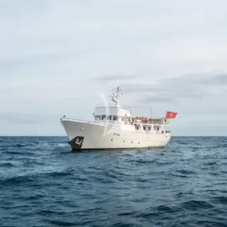 Fairmile - Image 13