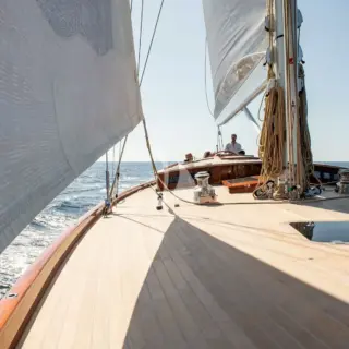 ANIMA II - Image 5