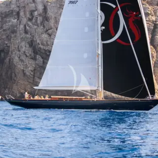 ANIMA II - Image 1
