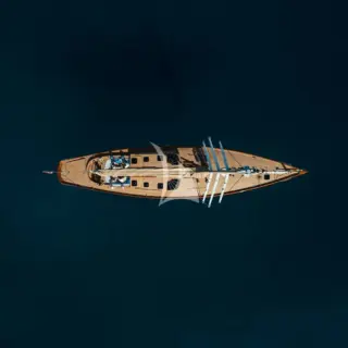ANIMA II - Image 3