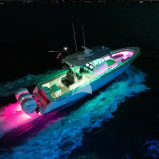 Tender Nightlife