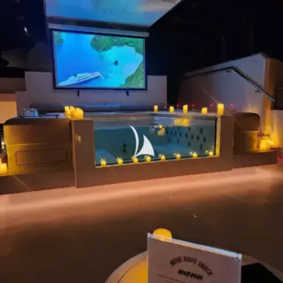 Sun deck projector setup