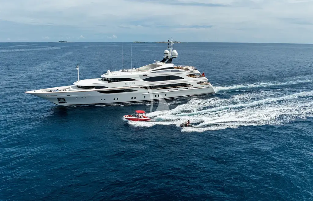 JAGUAR - Running with toys