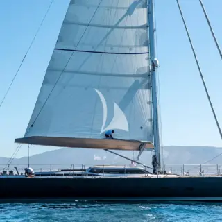Black Lion - Image 16