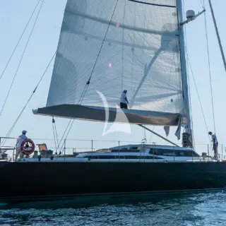Black Lion - Image 13