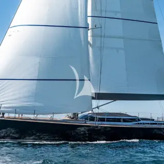 Black Lion - Image 6