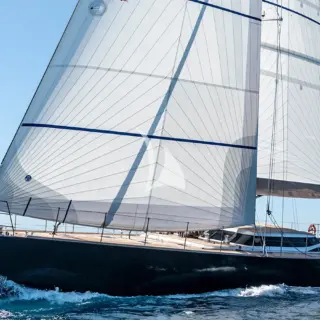 Black Lion - Image 1