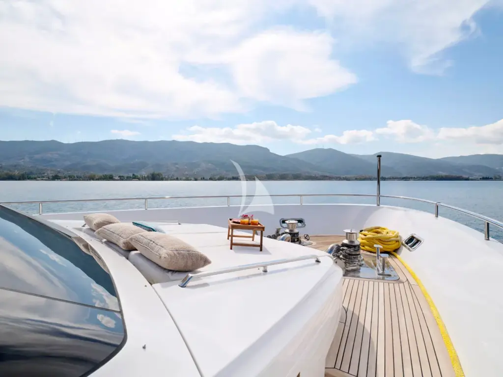 RARE DIAMOND - Bow sunpads