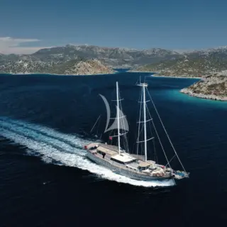 Nevra Queen - Image 1