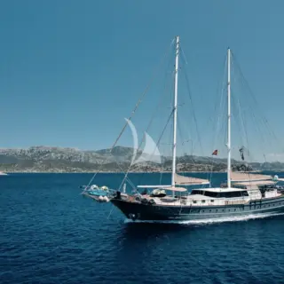 Nevra Queen - Image 5