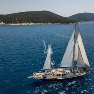 LUJA - Image 4