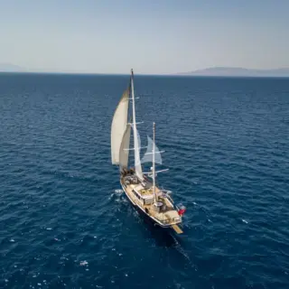 LUJA - Image 5