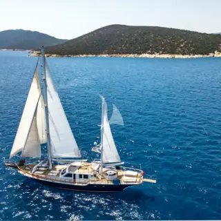LUJA - Image 2