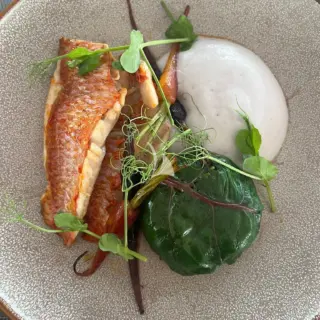 KAJIKIA culinary
